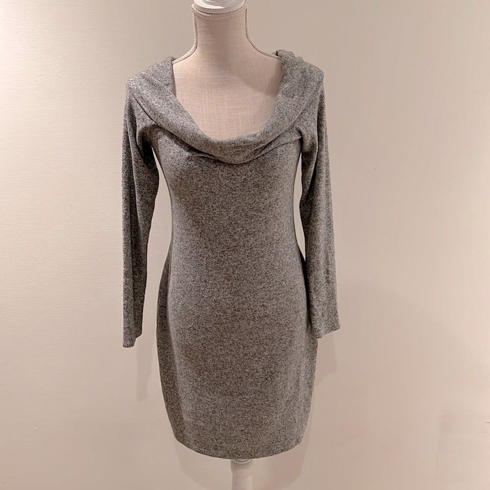 Express sweater dress